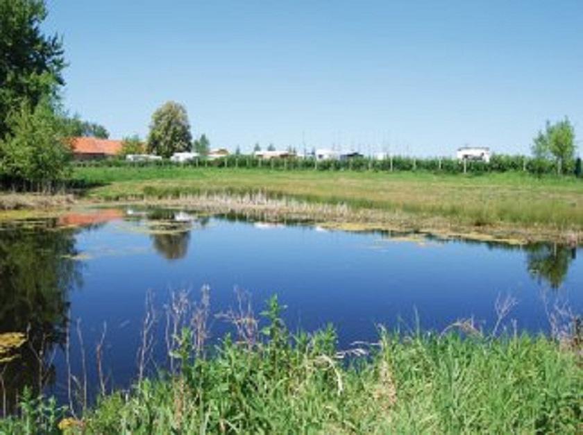 Camping De La Mottelette Forest-Montiers Luaran gambar